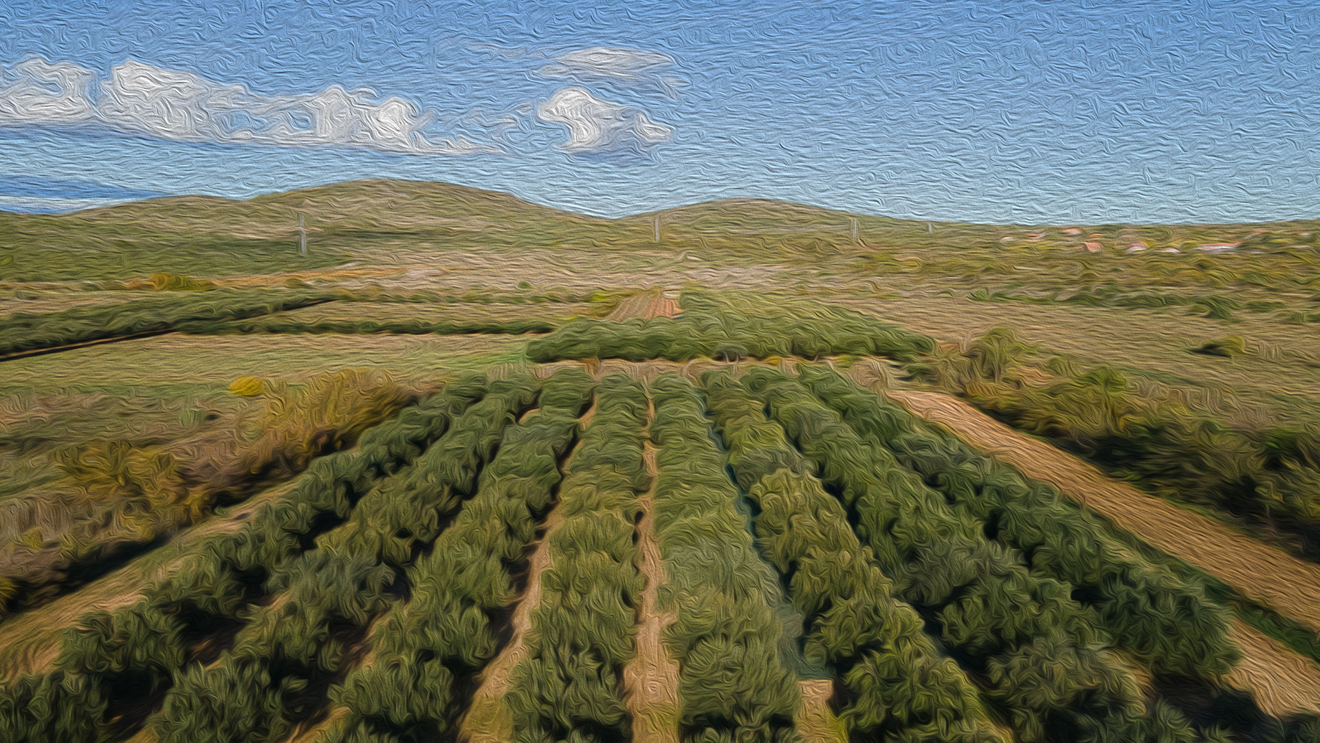 planine pozadina